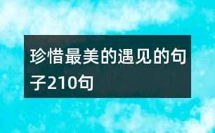 珍惜最美的遇見(jiàn)的句子210句