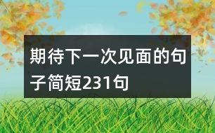期待下一次見(jiàn)面的句子簡(jiǎn)短231句
