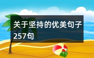 關于堅持的優(yōu)美句子257句