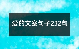 愛(ài)的文案句子232句