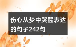 傷心從夢(mèng)中哭醒表達(dá)的句子242句