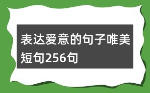 表達愛意的句子唯美短句256句