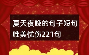 夏天夜晚的句子短句唯美憂(yōu)傷221句