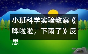 小班科學(xué)實驗教案《嘩啦啦，下雨了》反思
