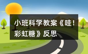 小班科學(xué)教案《哇！彩虹糖》反思