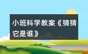 小班科學(xué)教案《猜猜它是誰》