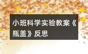 小班科學實驗教案《瓶蓋》反思
