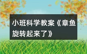 小班科學教案《“章魚”旋轉起來了》