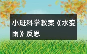 小班科學教案《水變雨》反思