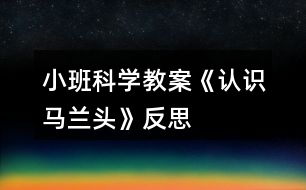 小班科學(xué)教案《認(rèn)識馬蘭頭》反思