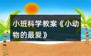 小班科學教案《小動物的最愛》