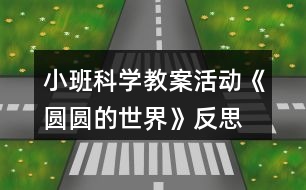 小班科學教案活動《圓圓的世界》反思
