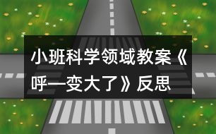小班科學領(lǐng)域教案《呼―變大了》反思