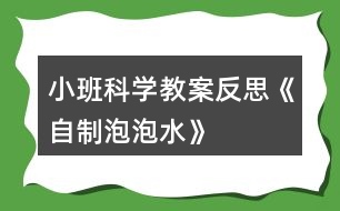 小班科學教案反思《自制泡泡水》