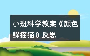 小班科學教案《顏色躲貓貓》反思