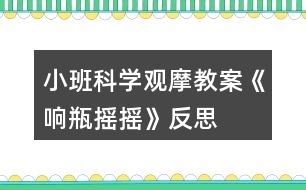 小班科學觀摩教案《響瓶搖搖》反思