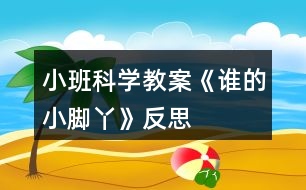 小班科學(xué)教案《誰(shuí)的小腳丫》反思