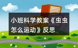 小班科學教案《蟲蟲怎么運動》反思