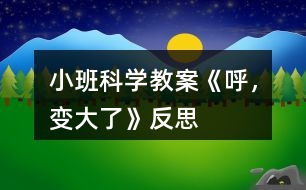 小班科學(xué)教案《呼，變大了》反思