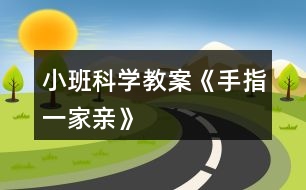 小班科學教案《手指一家親》