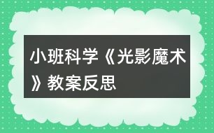 小班科學《光影魔術(shù)》教案反思