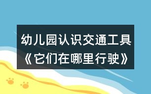 幼兒園認(rèn)識交通工具《它們在哪里行駛》小班科學(xué)教案特征分類反思
