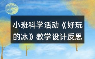 小班科學活動《好玩的冰》教學設(shè)計反思