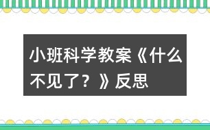 小班科學(xué)教案《什么不見了？》反思