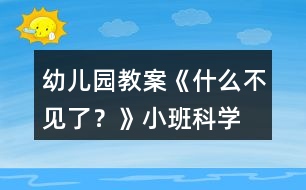 幼兒園教案《什么不見了？》小班科學(xué)