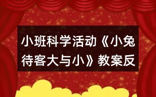 小班科學(xué)活動《小兔待客（大與小）》教案反思
