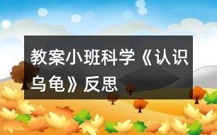教案小班科學(xué)《認(rèn)識烏龜》反思