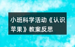小班科學(xué)活動(dòng)《認(rèn)識(shí)蘋(píng)果》教案反思