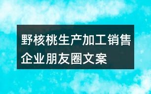 野核桃生產(chǎn)、加工、銷售企業(yè)朋友圈文案32句