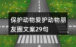 保護(hù)動(dòng)物、愛(ài)護(hù)動(dòng)物朋友圈文案29句