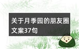 關于月季園的朋友圈文案37句