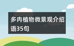 多肉植物微景觀介紹語(yǔ)35句