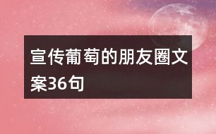 宣傳葡萄的朋友圈文案36句
