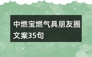 中燃寶燃氣具朋友圈文案35句