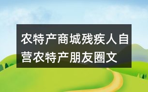 農(nóng)特產(chǎn)商城、殘疾人自營農(nóng)特產(chǎn)朋友圈文案38句