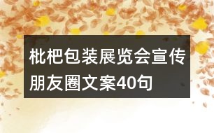 枇杷包裝、展覽會(huì)宣傳朋友圈文案40句