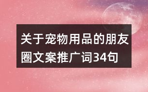 關(guān)于寵物用品的朋友圈文案、推廣詞34句