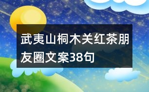 武夷山桐木關紅茶朋友圈文案38句