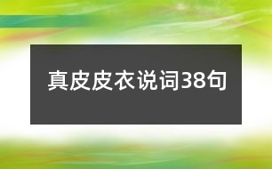 真皮皮衣說(shuō)詞38句