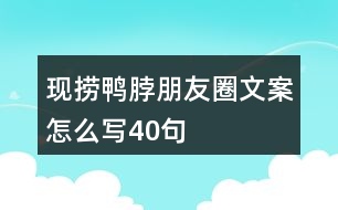 現撈鴨脖朋友圈文案怎么寫40句