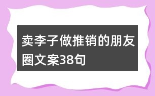 賣(mài)李子做推銷(xiāo)的朋友圈文案38句