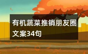 有機(jī)蔬菜推銷(xiāo)朋友圈文案34句