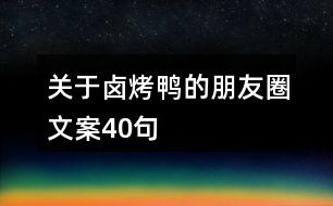 關于鹵烤鴨的朋友圈文案40句