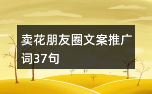 賣花朋友圈文案、推廣詞37句