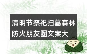 清明節(jié)祭祀、掃墓森林防火朋友圈文案大全40句