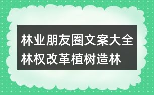 林業(yè)朋友圈文案大全：林權(quán)改革、植樹(shù)造林朋友圈文案36句
